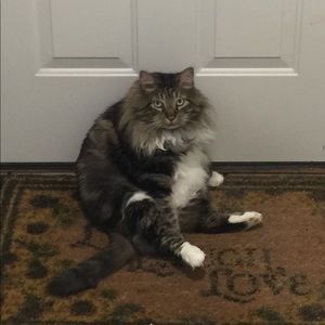 Meet your Posher, Eric